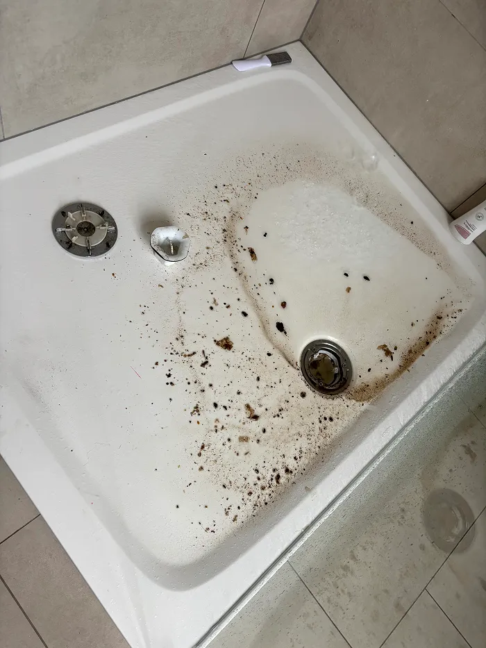 Douche bouchéVrap Débouchage